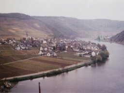 2003_Weinfahrt